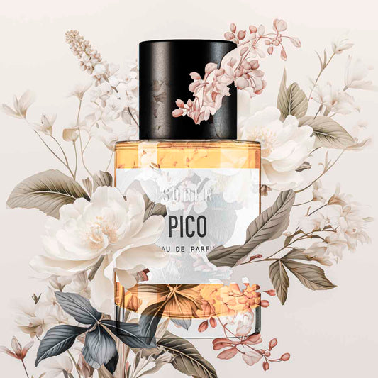 PICO - vzorek