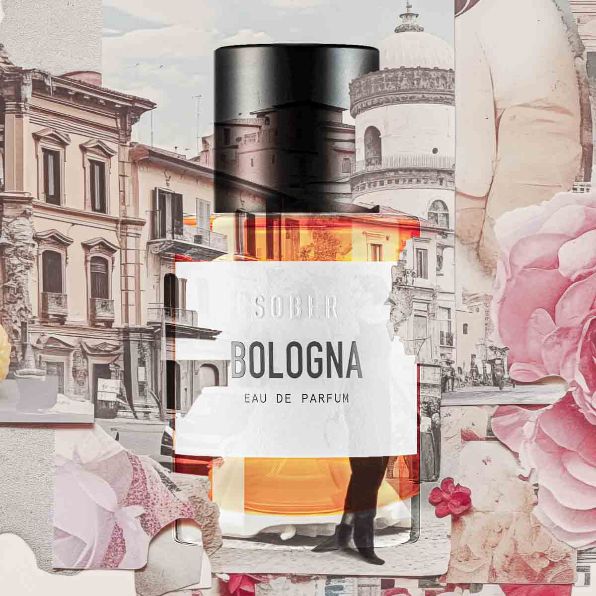 BOLOGNA -vzorek