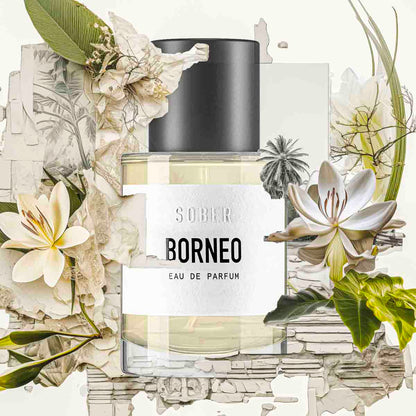 BORNEO - vzorek