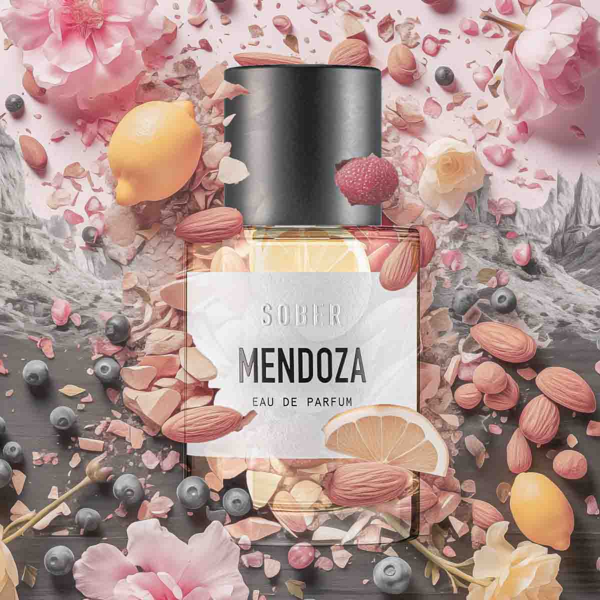 MENDOZA - vzorek