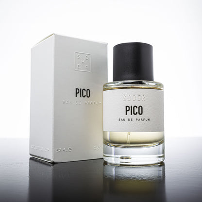 PICO - vzorek