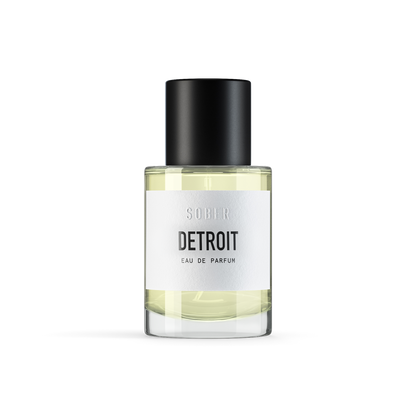 DETROIT - vzorek