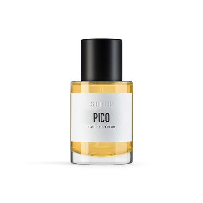PICO - vzorek