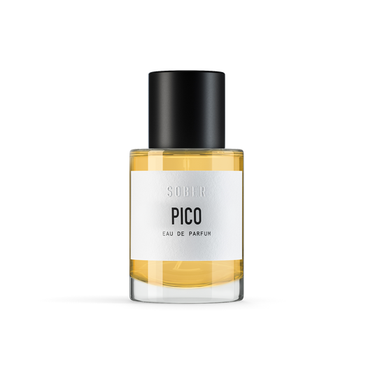 PICO - vzorek